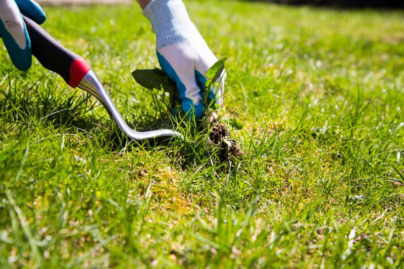 weed control and removal
