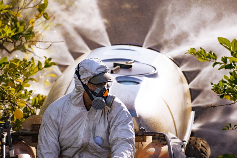 Weed Control And Removal