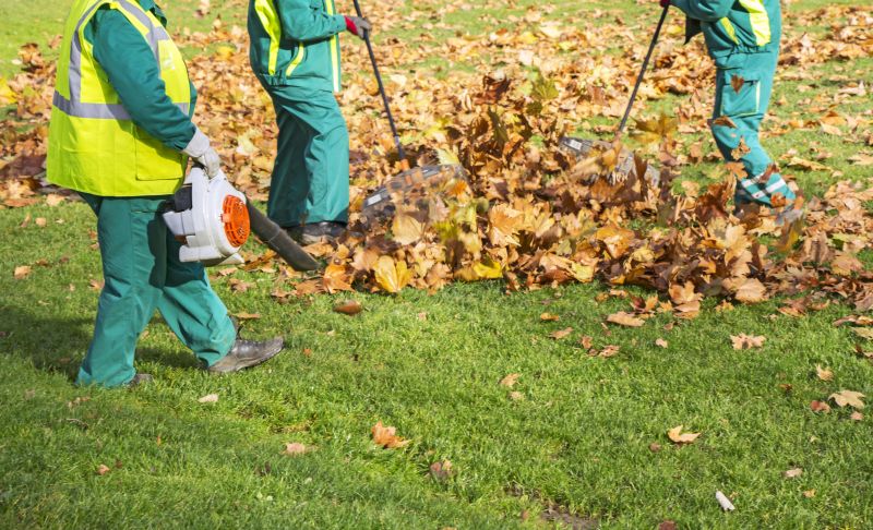 Fall Yard Cleanup Crew