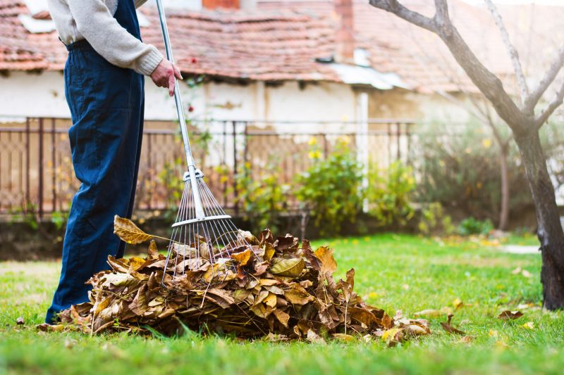 Leaves Being Collected