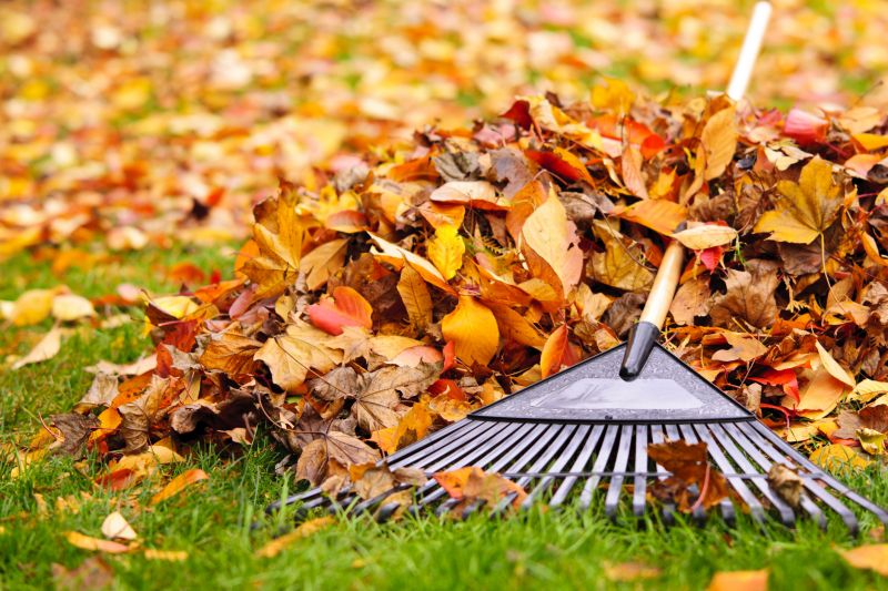 Lawn Care in Autumn