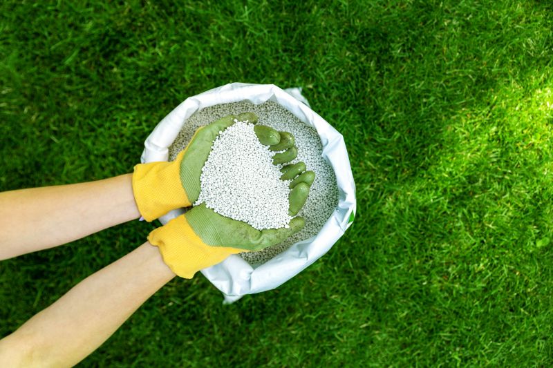 Lawn Fertilizing Application