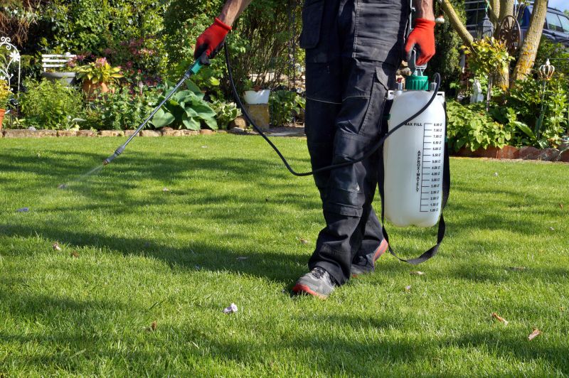 Weed Control And Removal