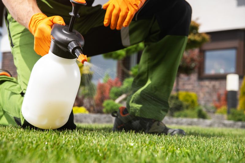 Weed Control And Removal