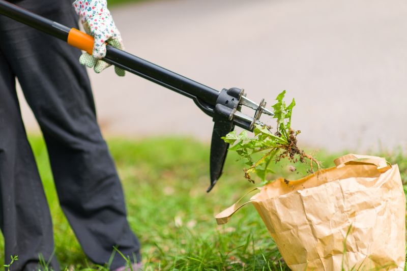Weed Control And Removal