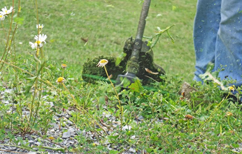 Weed Management Equipment