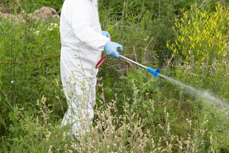 weed control and removal